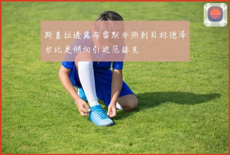 斯基拉透露布雷默非热刺目标德泽尔比更倾向引进范赫克
